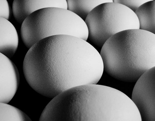 تخم مرغ پرورشی تازه با وزن یک دست